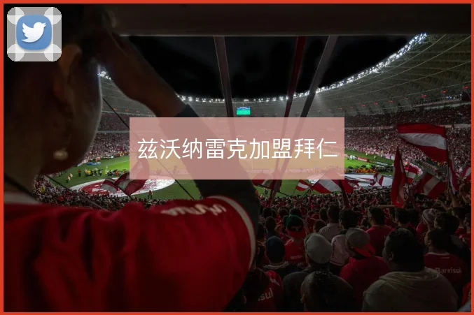 兹沃纳雷克加盟拜仁