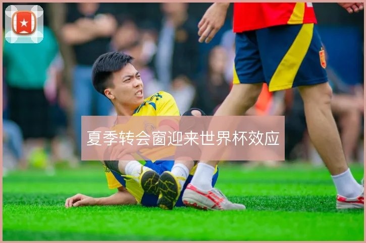 夏季转会窗迎来世界杯效应